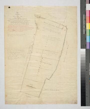 Map of the Vineyards of Antonio Maria Lugo and Stephen C. Foster
