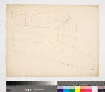 Los Angeles : Vigné Vineyard sold to Barela and Sainsevain