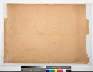 Rancho Rincon de los Bueyes, Allottment of Francisco Higuera