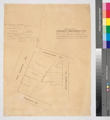 Map of a Lot of Schoder, Johnston & Co. a part of the Requena Tract