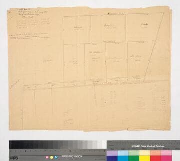 Plat of the survey made January 1881, Part of the San Pedro Rancho, Odin Tract