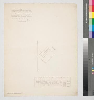 Plat of the lines described in a deed from F.P. Johnson & wife to F. Sabichi of date January 31st 1867