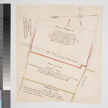 Los Angeles : Morris Vineyard and the Eulogio Celis and Leonardo Cota parcels