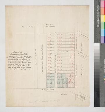 Subdivision of the Magnolia Tract situate west of Los Angeles City and North of Washington Street