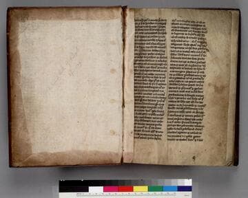 Pricke of conscience : [manuscript]