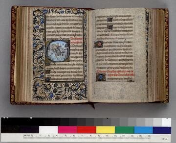 Psalter and prayers : [manuscript]