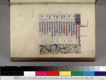 Book of Hours, use of Paris : [manuscript]