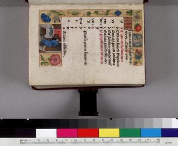 Book of Hours, use of Rome : [manuscript]