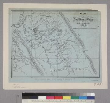 Map of the Southern Mines by Charles Drayton Gibbes