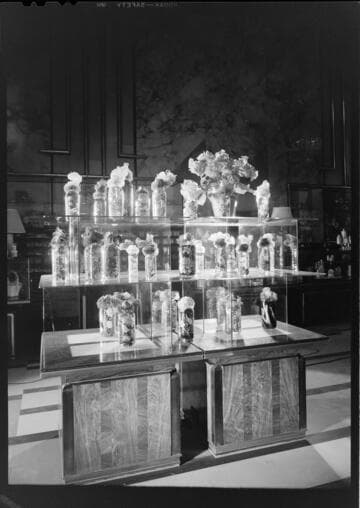 Bullock's miscellaneous