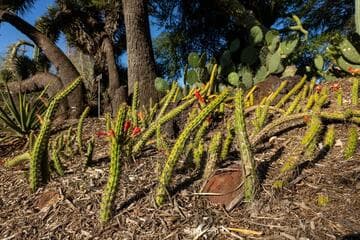 Go to image 7.