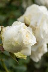 Go to image 3.