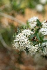 Go to image 13.