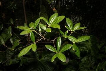 Go to image 6.