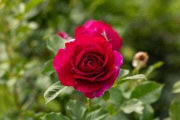 Go to image 7.