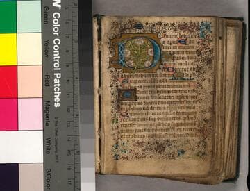 Book of Hours, use of Sarum, in Latin with English additions : [manuscript]