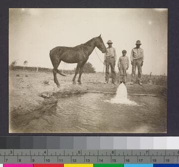 Men and boy with horse