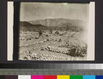 Moravian Cemetery. [Variant]