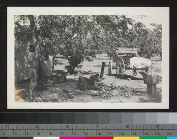 Unidentified property with cart
