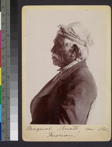 Pasqual Pavett, an old Indian