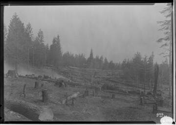 Big Creek, Shaver Lake Dam - East Shore