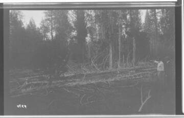 Big Creek, Shaver Lake Dam