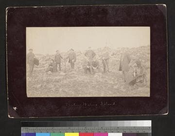 Visiting Walrus Island