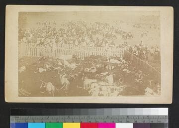 Beef Issue at Pine Ridge, S.D