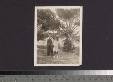 Weinland Family Photograph Album, approximately 1908 to 1929