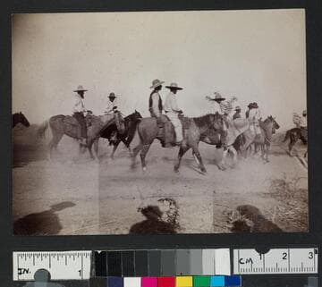Men riding horses in a desert setting