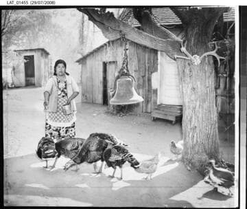 Mrs. Vivian Gomez feeds turkeys and chickens in Old Indian Village on Tejon Ranch