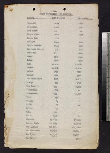 Negro Population by Counties