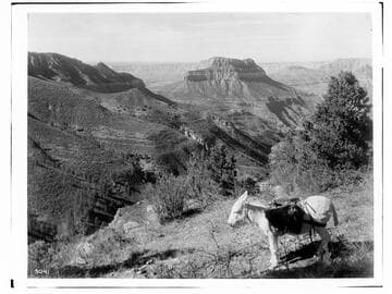 Steamboat Mountain and Saddle Canyon from Muav Saddle, Grand Canyon