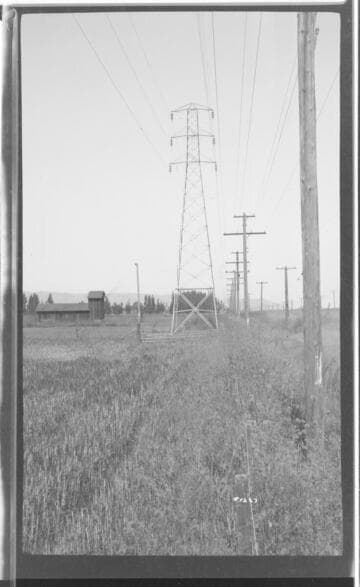 Miscellaneous Transmission