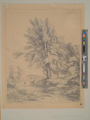 View of Windsor Castle