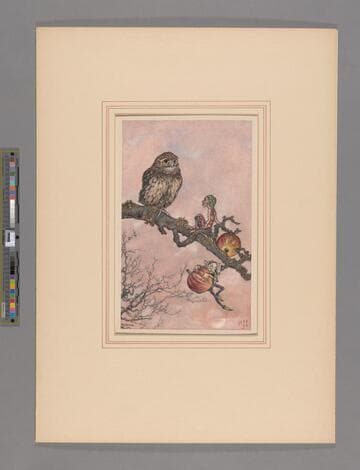 Two Pixies and an Owl on an Apple Branch