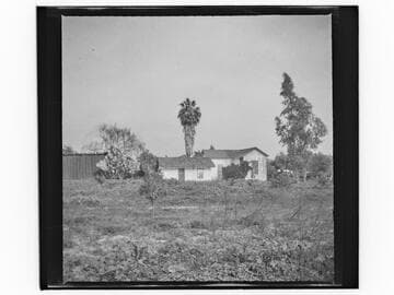 Unidentified house with cactus and palm tree