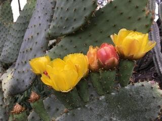 Go to image 1.