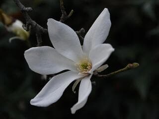 Go to image 1.