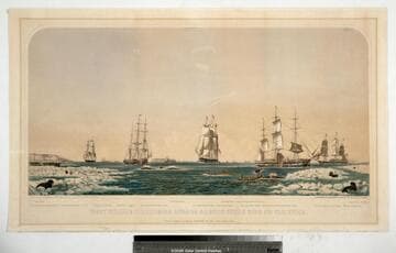 Right whaling in Behering Straits & Arctic Ocean with its varieties