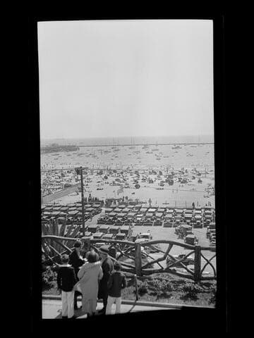 Santa Monica Yacht Harbor from Palisades Park
