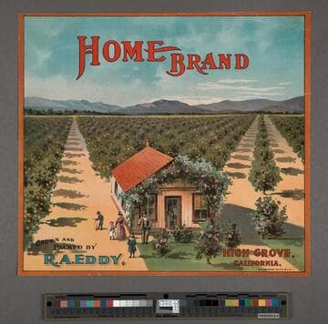 Home Brand