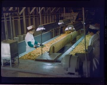 Exchange lemon products