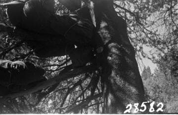 Big Creek, Fish Valley - Onion Springs