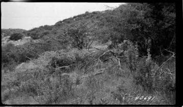 Big Creek, Mammoth Pool