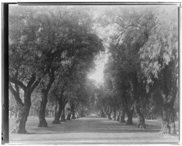 L1.2 - Lighting, streets - Copy