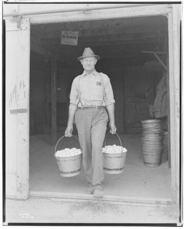 P2 - Poultry - Mr. Logan