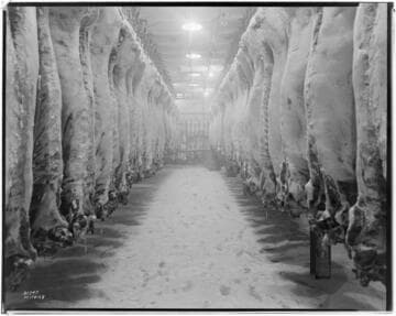 L1.8 - Lighting, Packing Plants - Cold Room in Meat Packing Plant