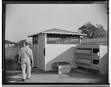 Poultry Book - Busse Ranch