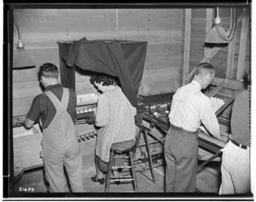 Poultry Book - Childer's and Hatch